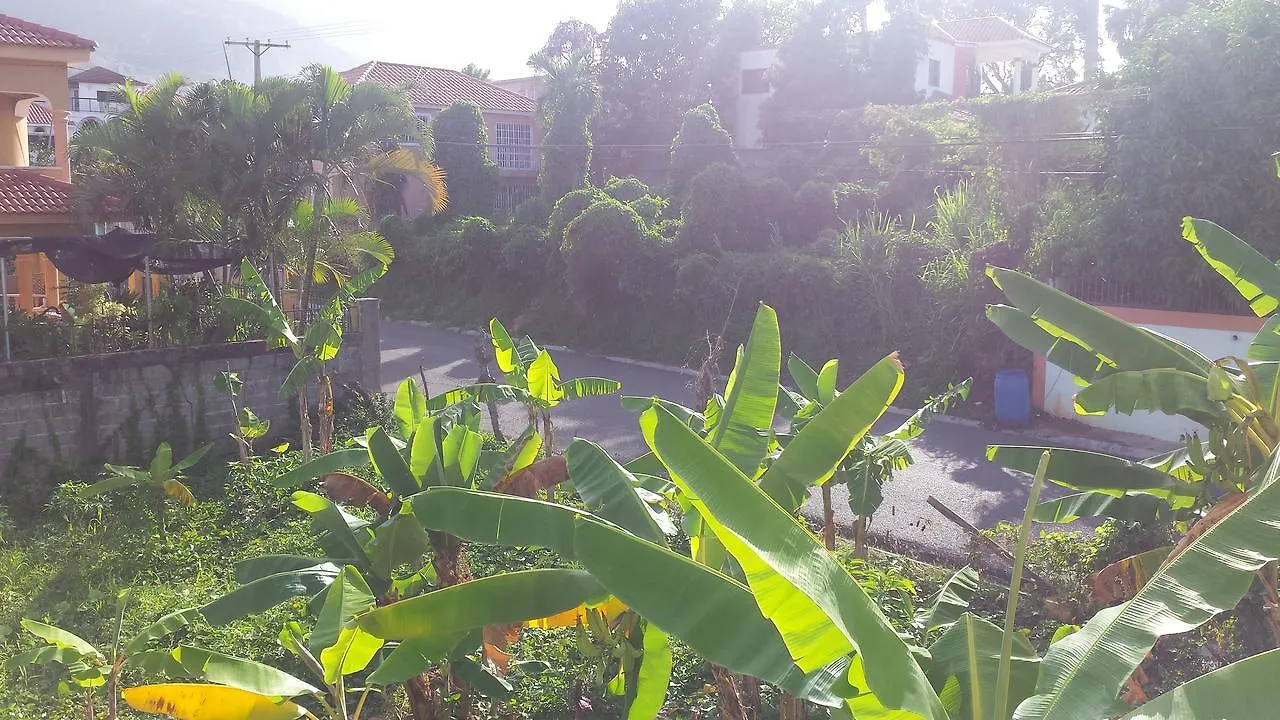 Bed & Breakfast Elisabeth Bed and Breakfast Puerto Plata